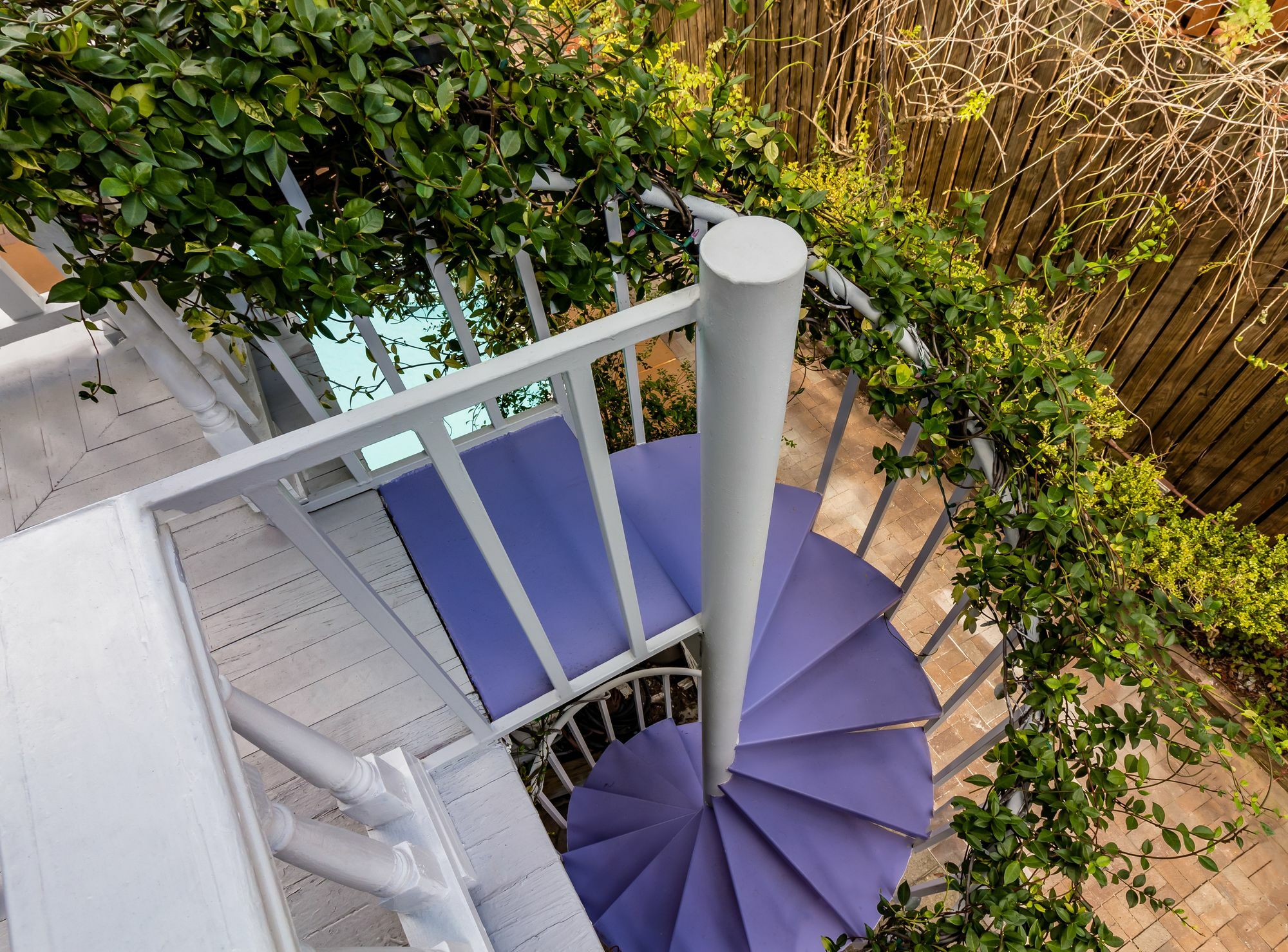 Bed and Breakfast Amethyst Garden Savannah Esterno foto